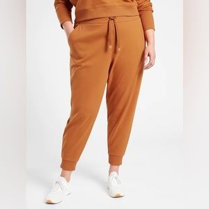 Athlete Triumph Jogger - Cattail Brown
